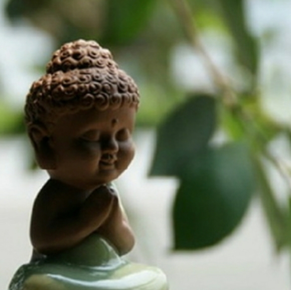 Meet your Posher, Janine - Picture 4 of 7